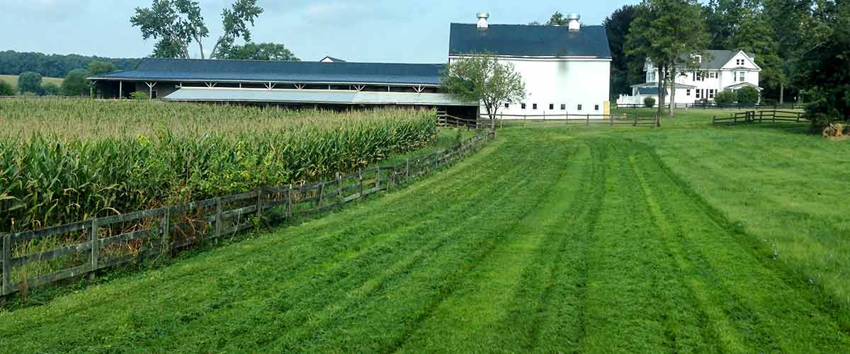 Farming Land Stewardship, Howard, County, MD